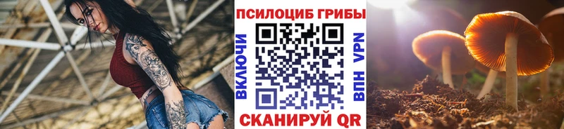 Псилоцибиновые грибы ЛСД  Болохово 
